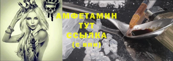 хмурый Белокуриха