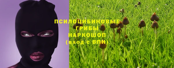 хмурый Белокуриха