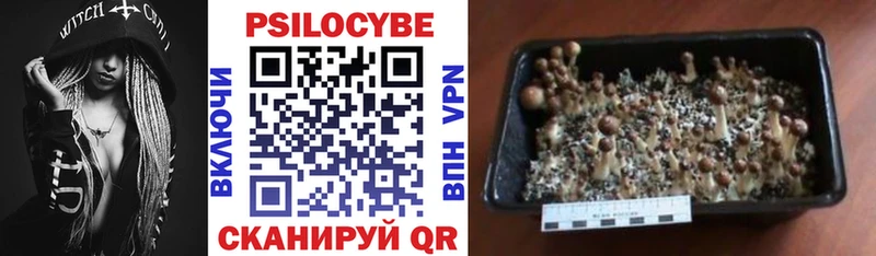 Галлюциногенные грибы ЛСД  наркота  Верхняя Тура 