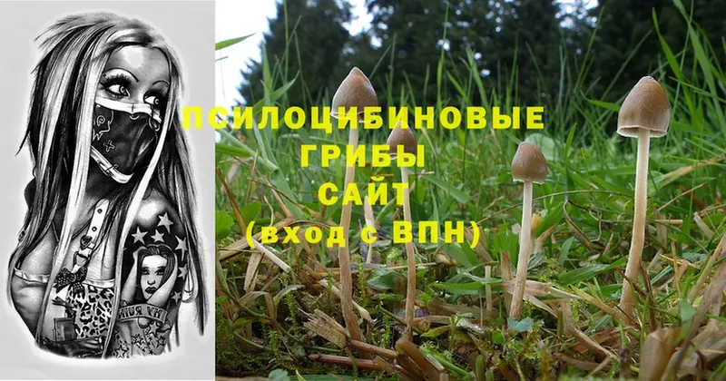 Галлюциногенные грибы MAGIC MUSHROOMS  купить наркотик  Верхняя Тура 